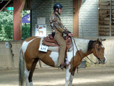 Western Brevetten Eagles Ranch Texel