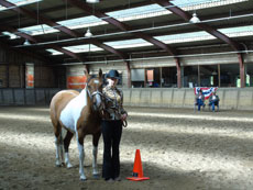 Western Brevetten Eagles Ranch Texel