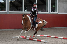 Western Brevetten Eagles Ranch Texel