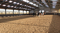 Paardenstalling de Eagles Ranch