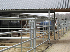 Veulenopfok programma de Eagles Ranch