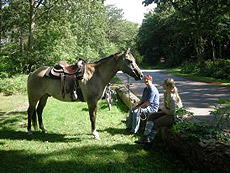 Paardenstalling de Eagles Ranch