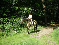 Paardenstalling de Eagles Ranch