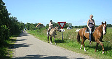 Paardenstalling de Eagles Ranch