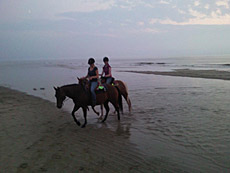 Paardenstalling de Eagles Ranch