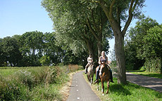 Paardenstalling de Eagles Ranch