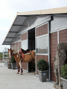 Paardenstalling de Eagles Ranch