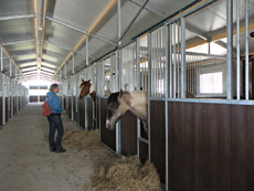 Paardenstalling de Eagles Ranch