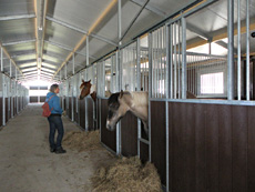 Paardenstalling de Eagles Ranch