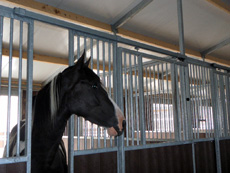 Paardenstalling de Eagles Ranch