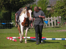 Paarden vakantiestalling Eagles Ranch