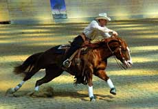 Barrel Racing