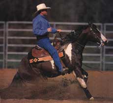 Reining