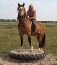 Natural Horsemanship