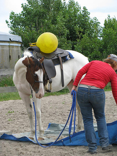 Natural Horsemanship