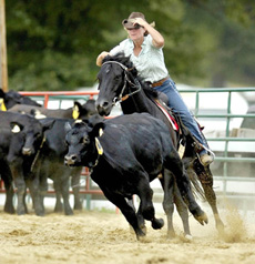 Team Penning