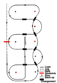 Western Riding Pattern