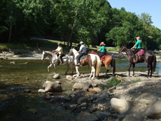 Trail Ride 