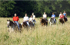 Trail Ride 