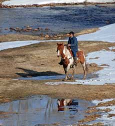 Trail Ride 